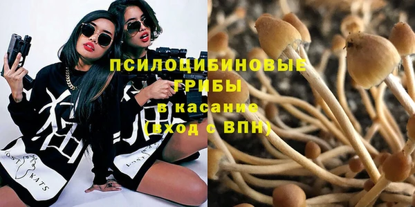 герыч Алексин